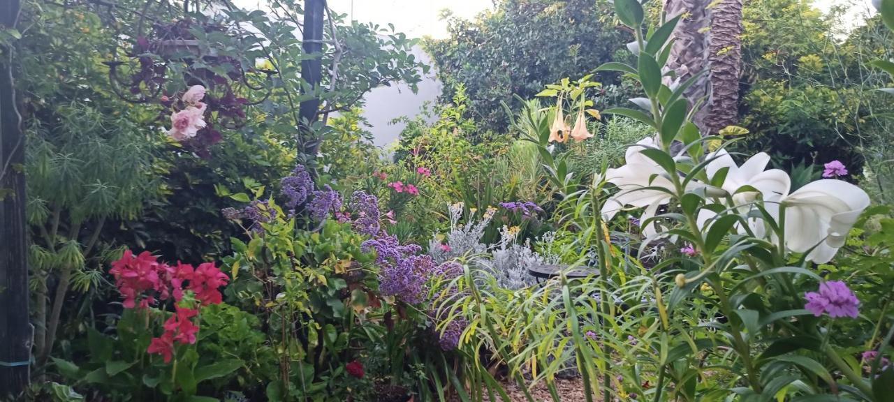 Casa Flora Garden Studio Саузал Екстериор снимка