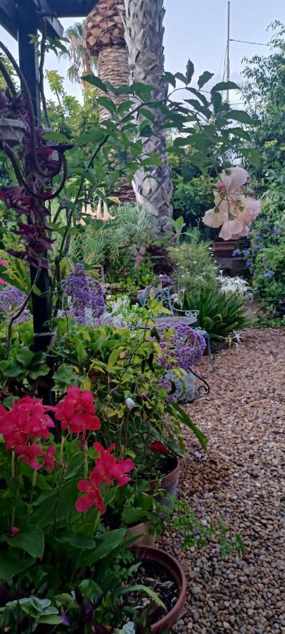 Casa Flora Garden Studio Саузал Екстериор снимка