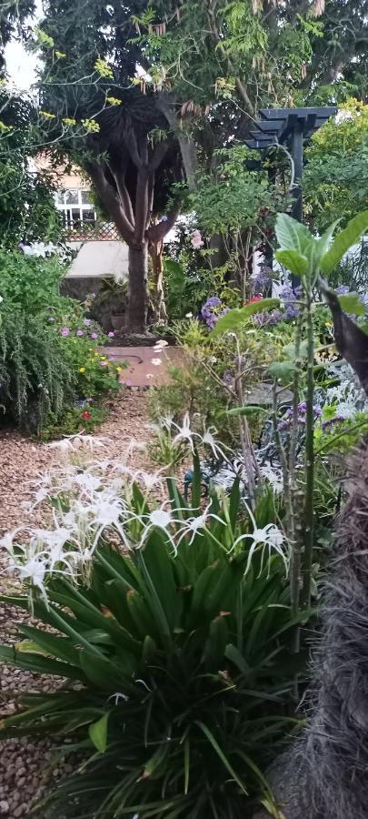 Casa Flora Garden Studio Саузал Екстериор снимка