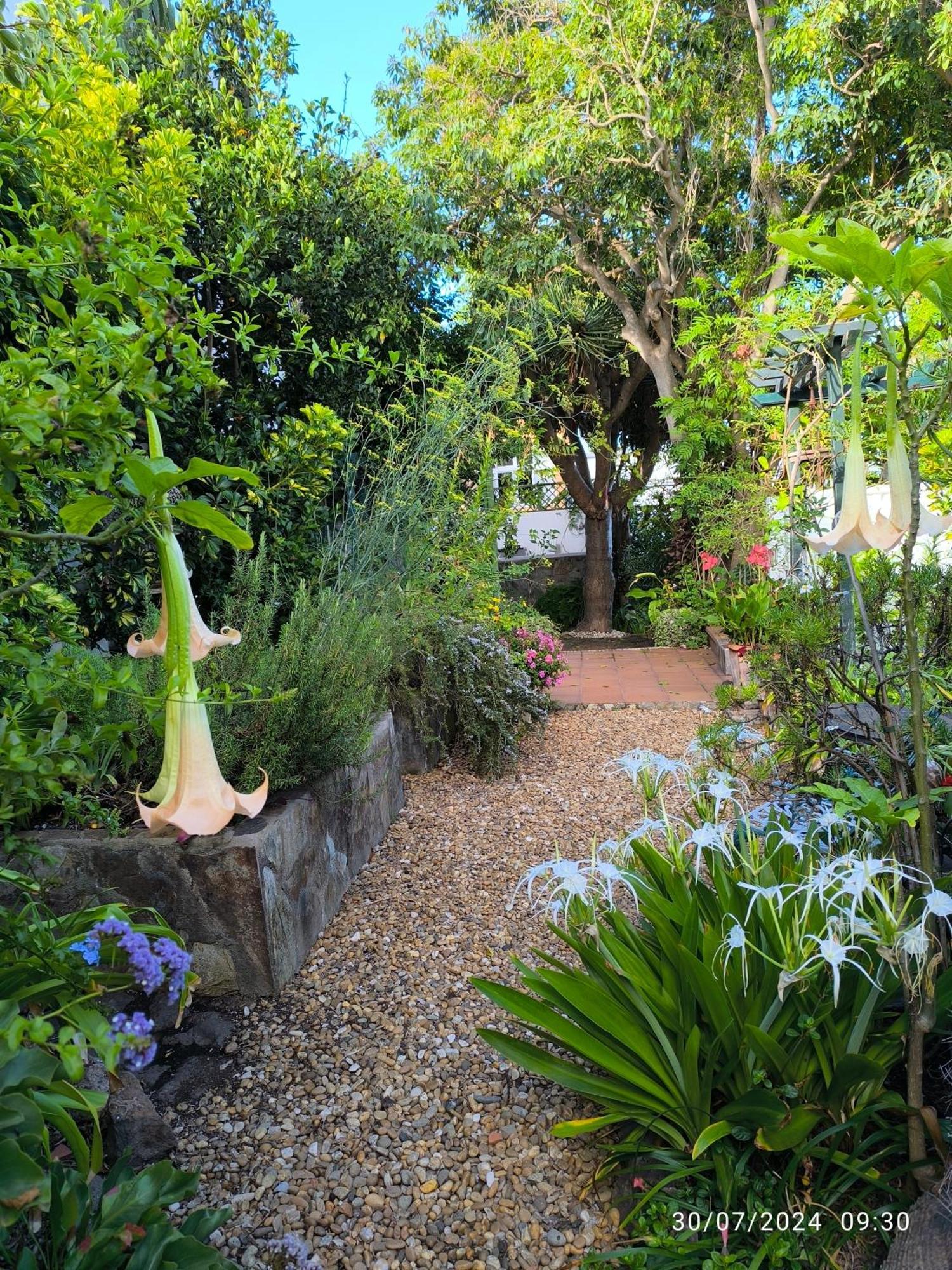 Casa Flora Garden Studio Саузал Екстериор снимка