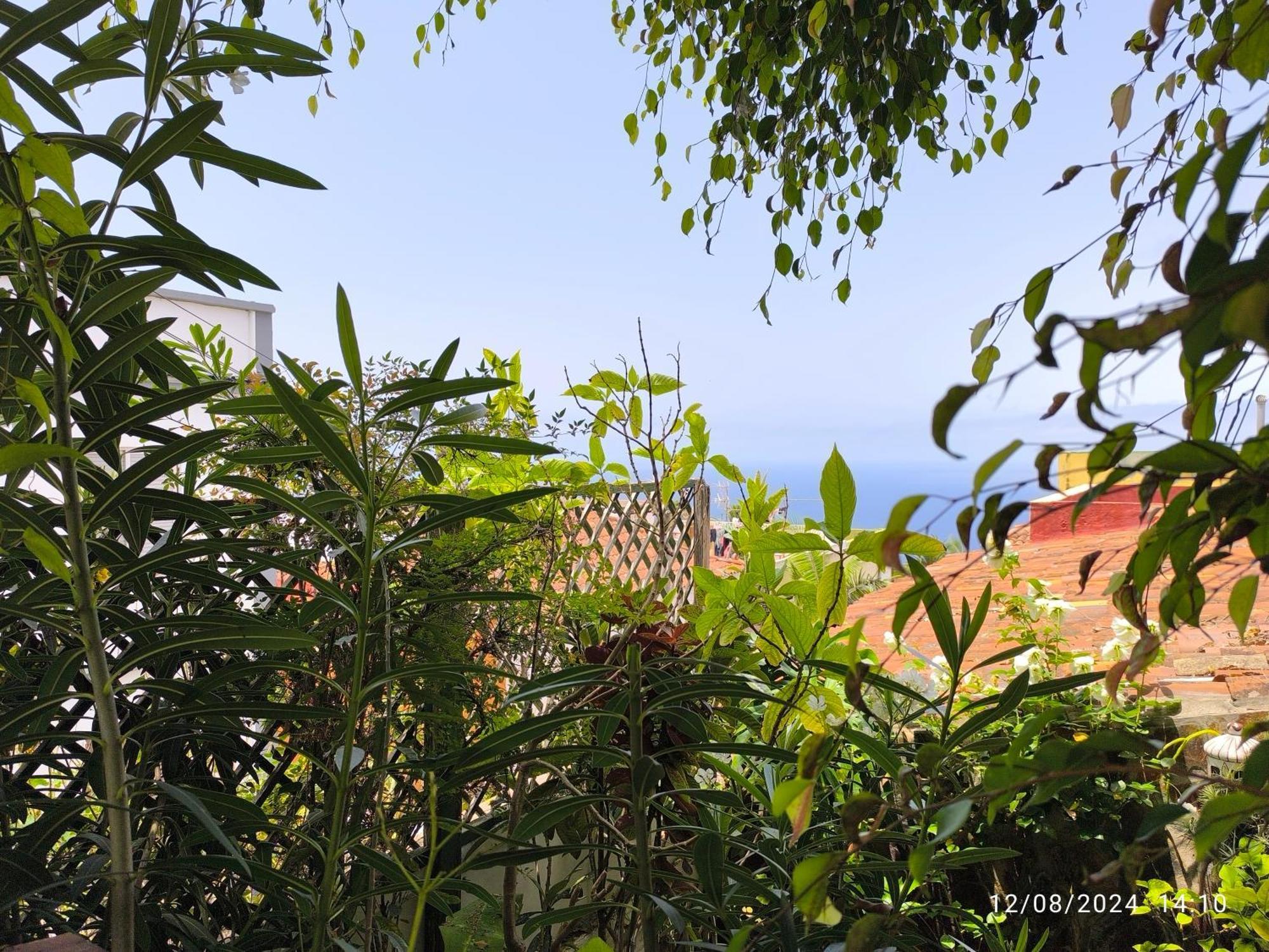 Casa Flora Garden Studio Саузал Екстериор снимка